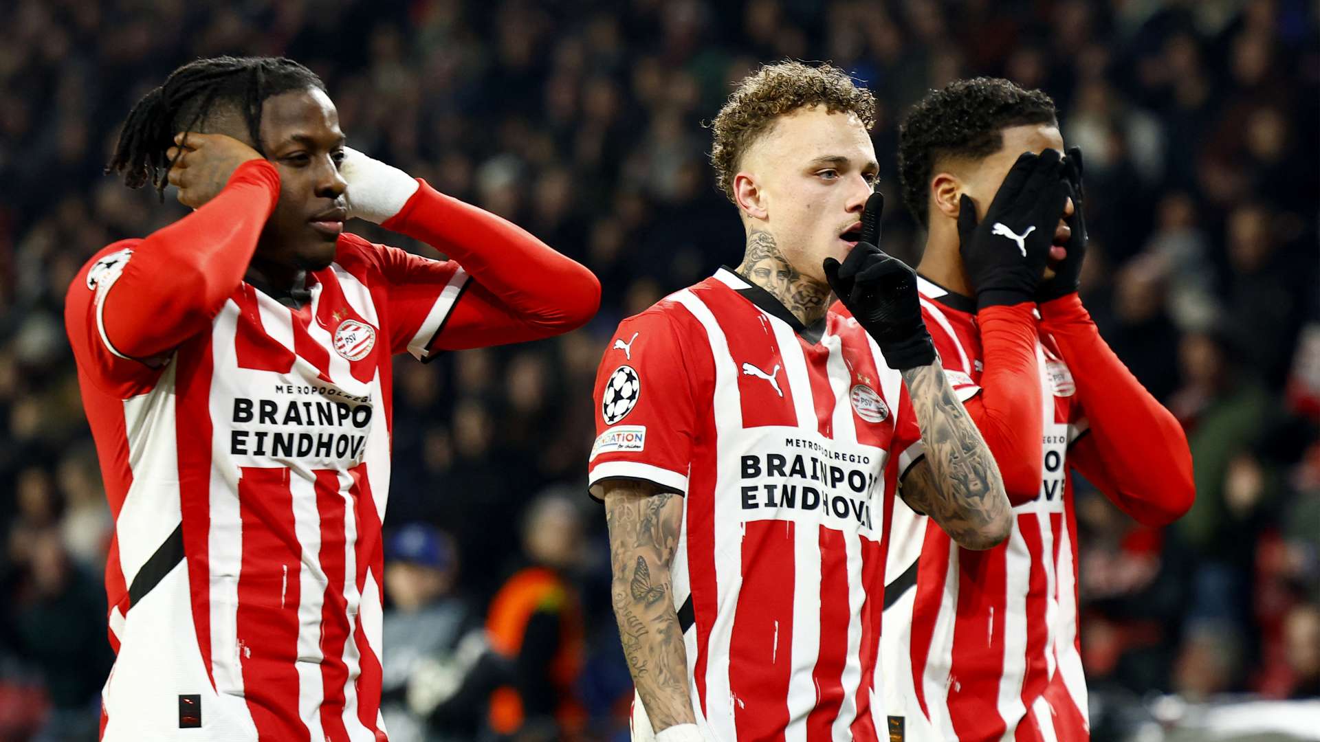 用于引进新 用于引进新