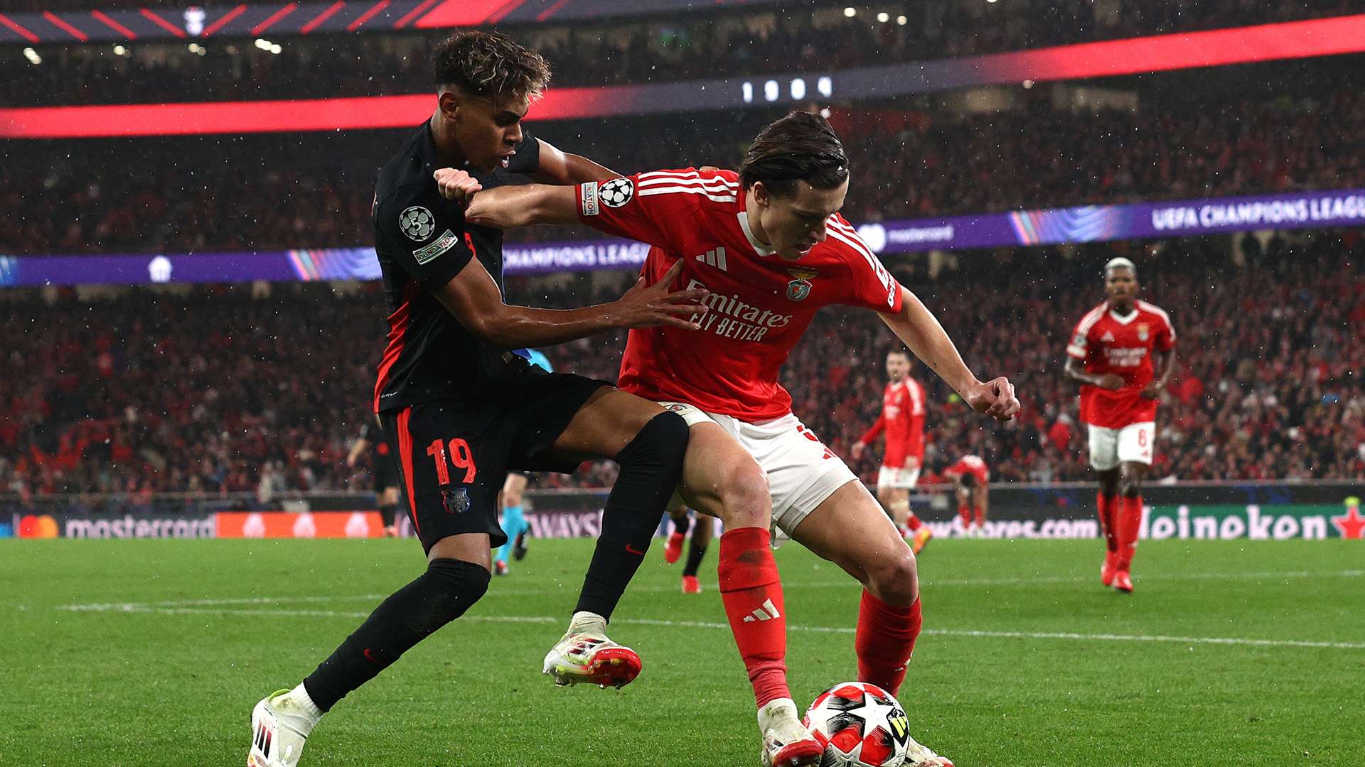 重新认识 重新认识